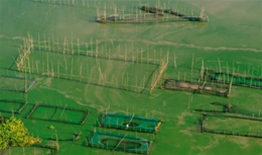 东莞市粤冠商贸有限公司 信用代码：91441900MA54DT7B46